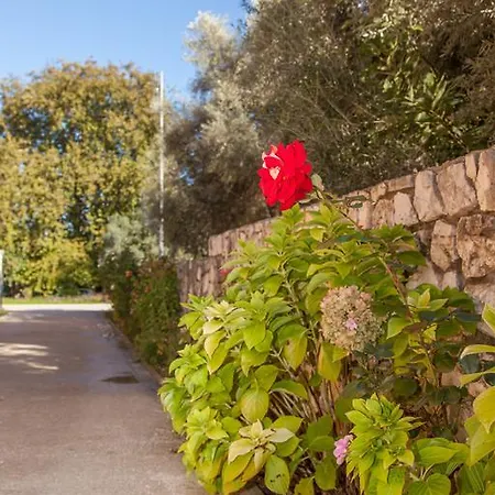 Emelia Nydri (Lefkada)